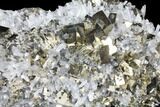 Cubic Pyrite and Quartz Crystal Association - Peru #131152-2